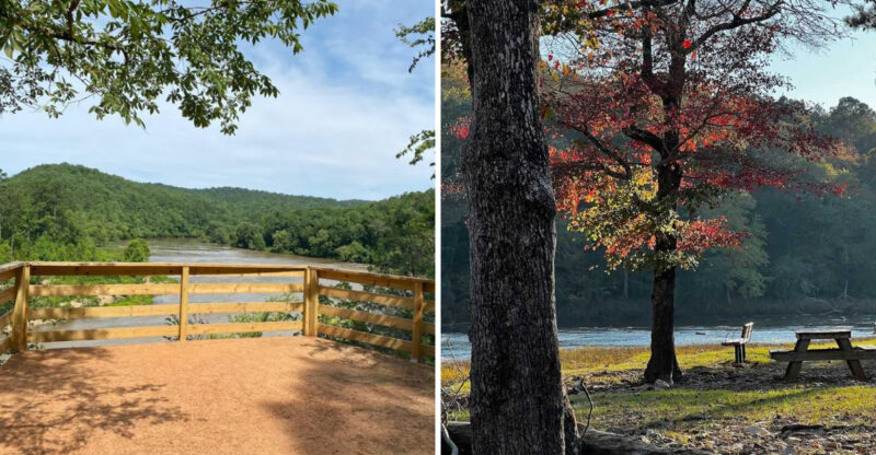 This Georgia Park Hides A Mountain-Like View Most Locals Miss
