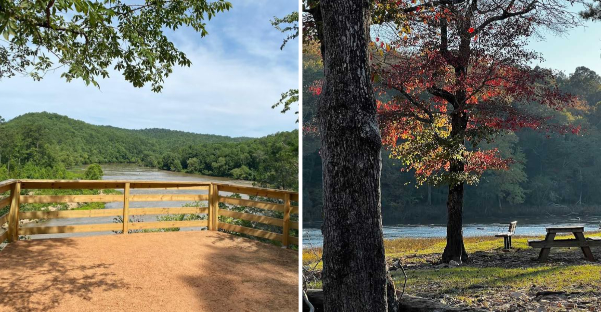This Georgia Park Hides A Mountain Like View Most Locals Miss - Decor Hint