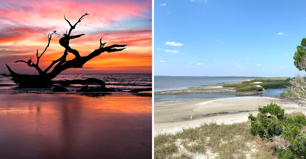This Georgia Shoreline Offers A Beach Experience Unlike Anywhere Else - Decor Hint