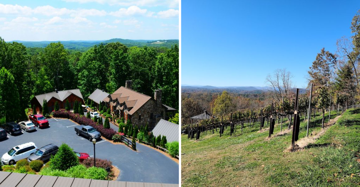 This Georgia Winery Sits On A Mountain And Feels Like A European Escape - Decor Hint