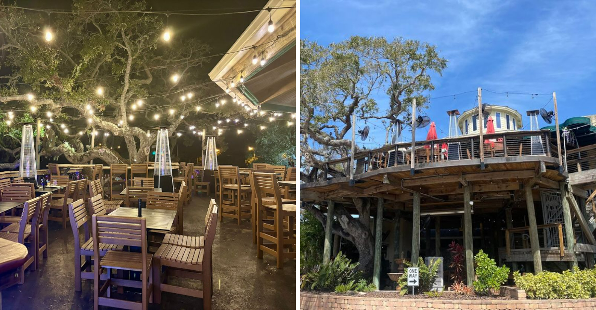 This Giant Tree House Restaurant In Florida Looks Like A Fairytale - Decor Hint