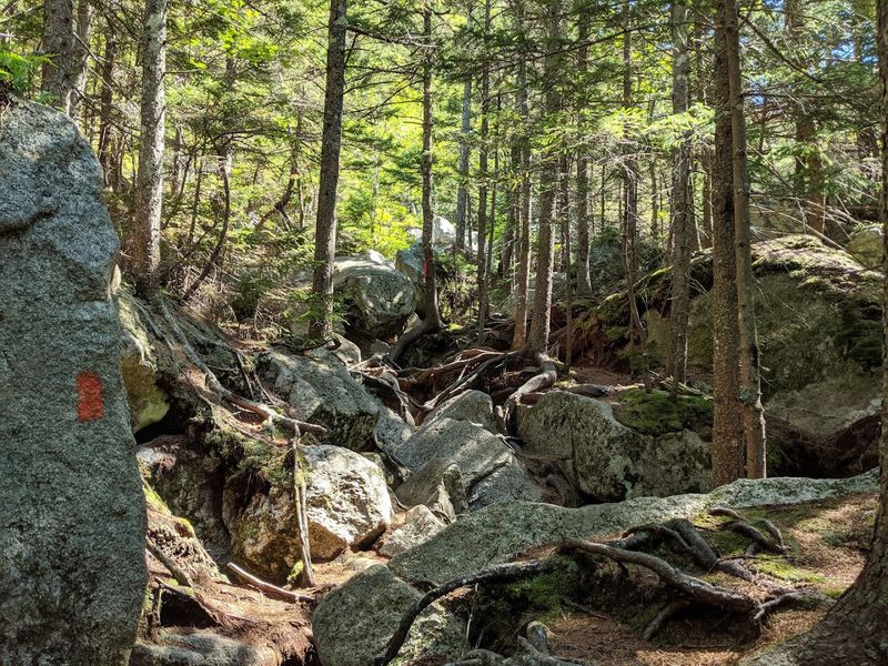 Rugged Mountains And Untamed Trails