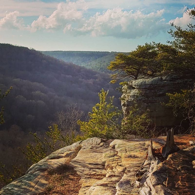 The Canyon Views That Define The Park
