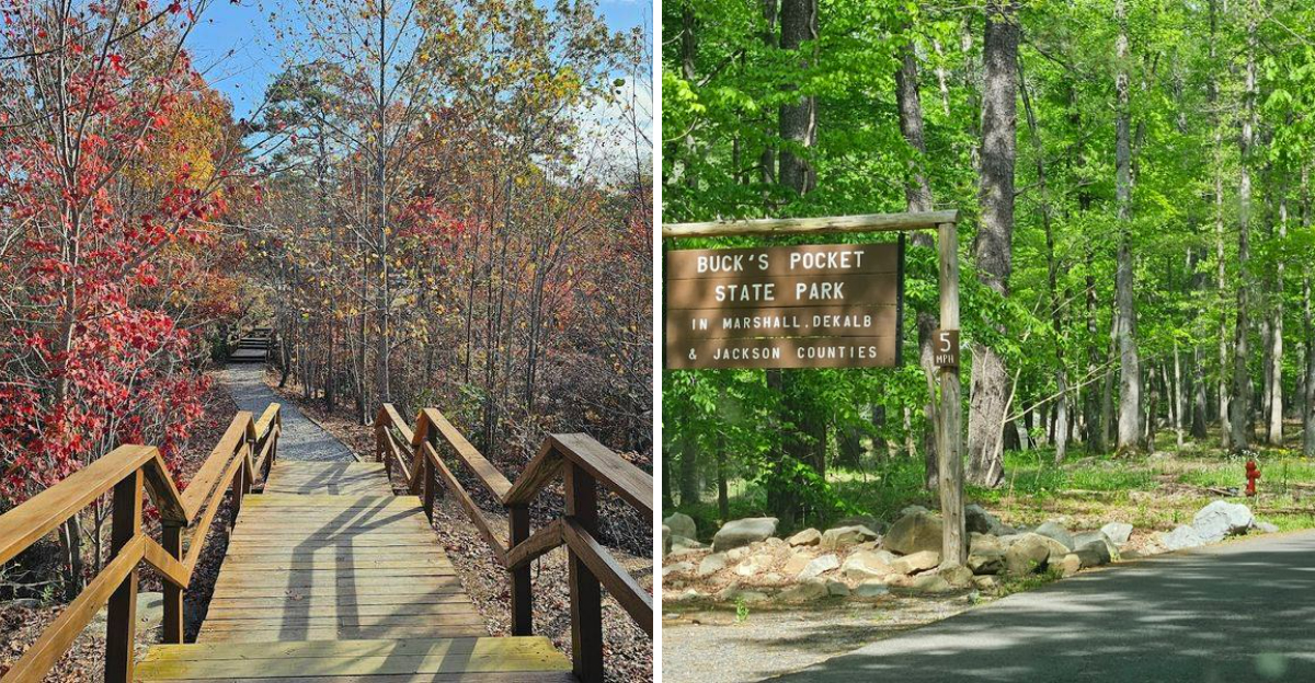 This Hidden Alabama Park Looks Like A Mini Smoky Mountains Escape - Decor Hint