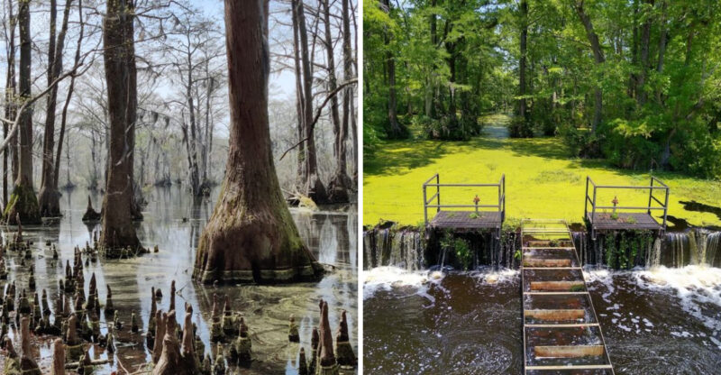 This Hidden North Carolina State Park Feels Like One Of The State’s Best-Kept Secrets