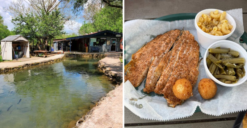 This Hidden Tennessee Smoky Mountains Place Lets You Catch Your Own Trout And Have It Cooked On The Spot