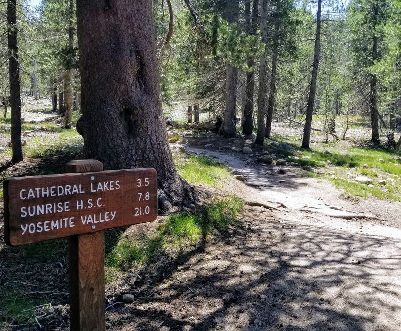 The Trailhead at Tuolumne Meadows: Where the Adventure Begins