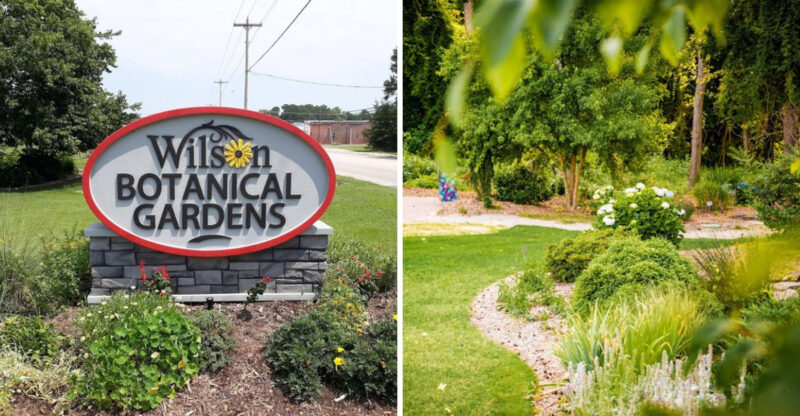 This Is The Stunning Botanical Garden In North Carolina That Most People Never Hear About