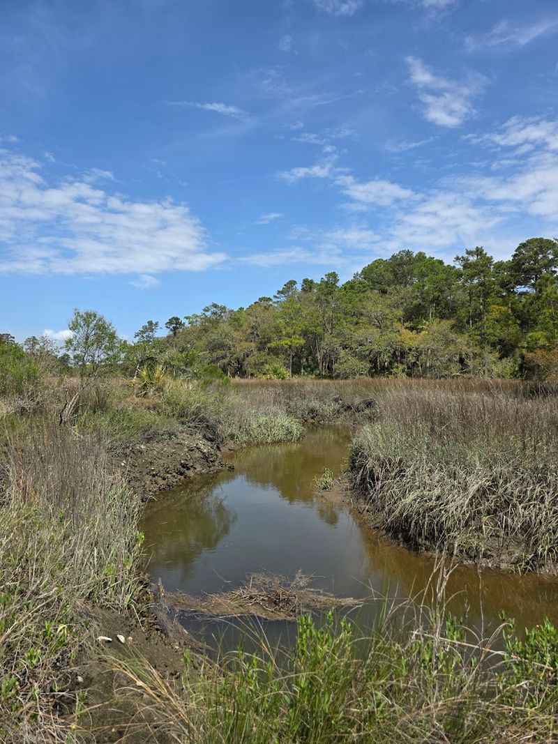 This List Of 16 Georgia Campgrounds Comes With Incredible Coastal Scenery - Decor Hint Skidaway Island State Park