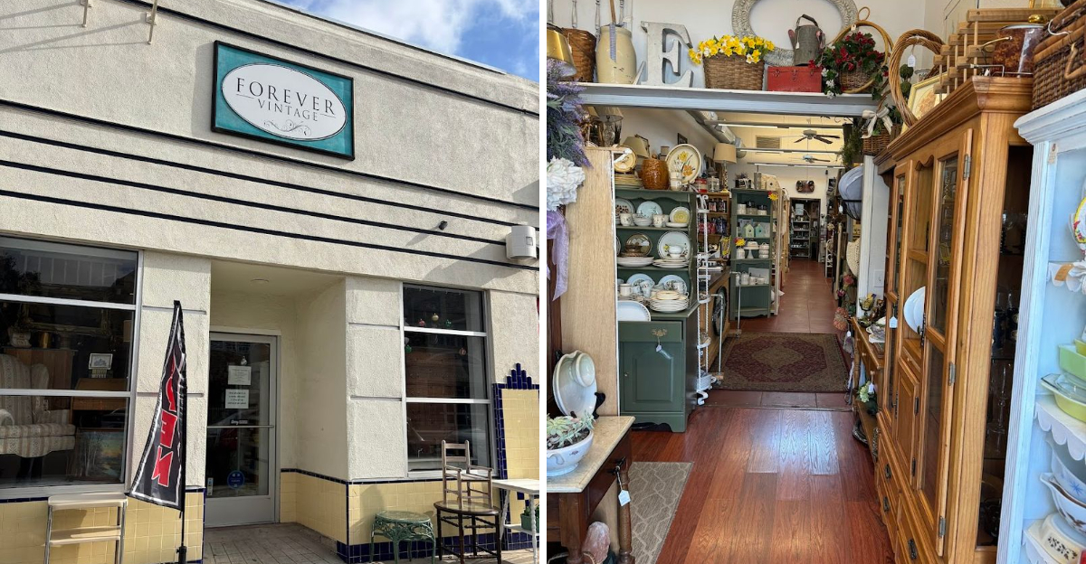 This Massive Vintage Store In Fresno Is Packed With Finds You Didnt Know You Needed - Decor Hint