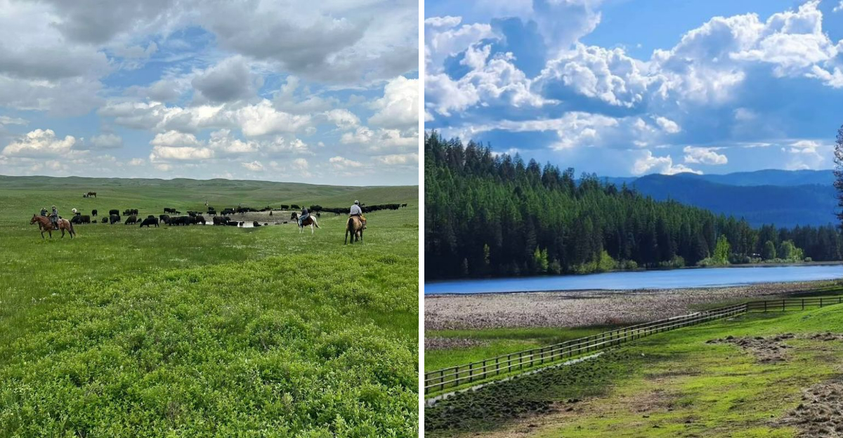 This Montana Dude Ranch Turns Simple Mornings Into Something You Actually Remember - Decor Hint