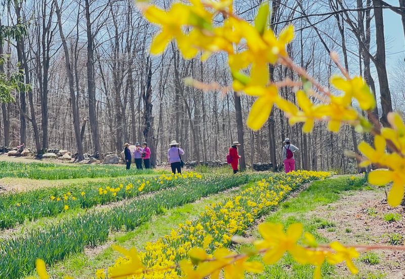 Why Halfinger Farms Feels Like Such A Perfect Spring Escape
