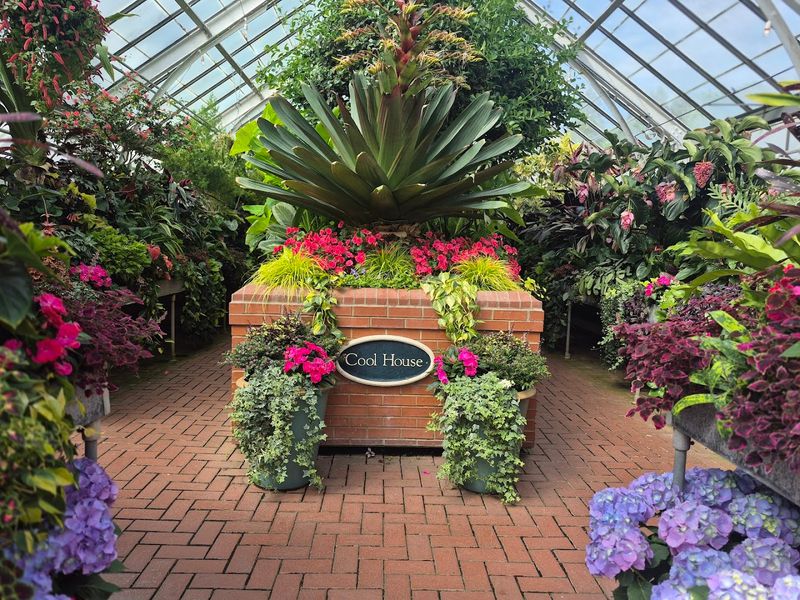 Biltmore Estate Azalea Garden