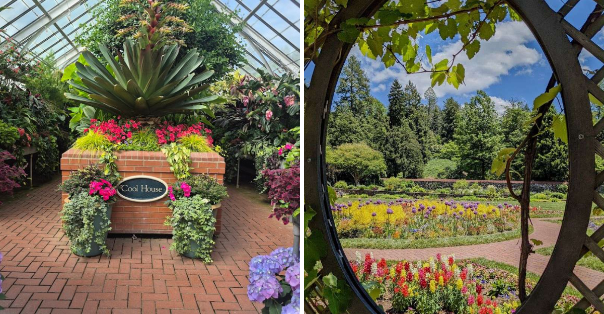 This North Carolina Azalea Garden Is Worth The Spring Drive - Decor Hint