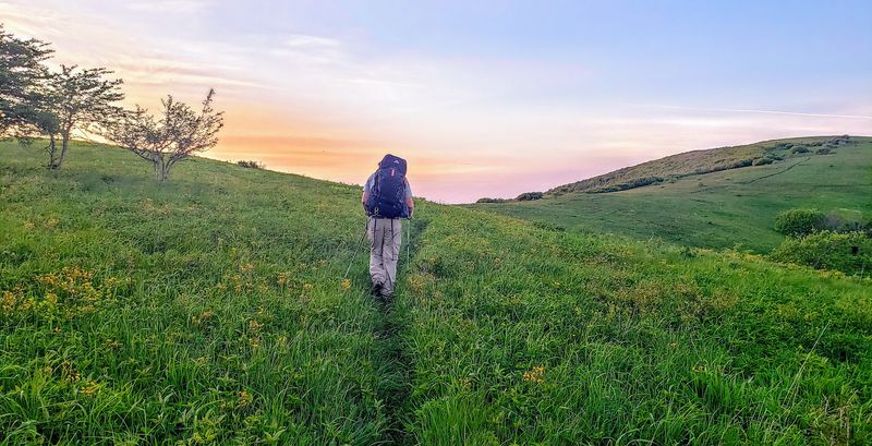 The Open Grassy Balds That Define The Landscape