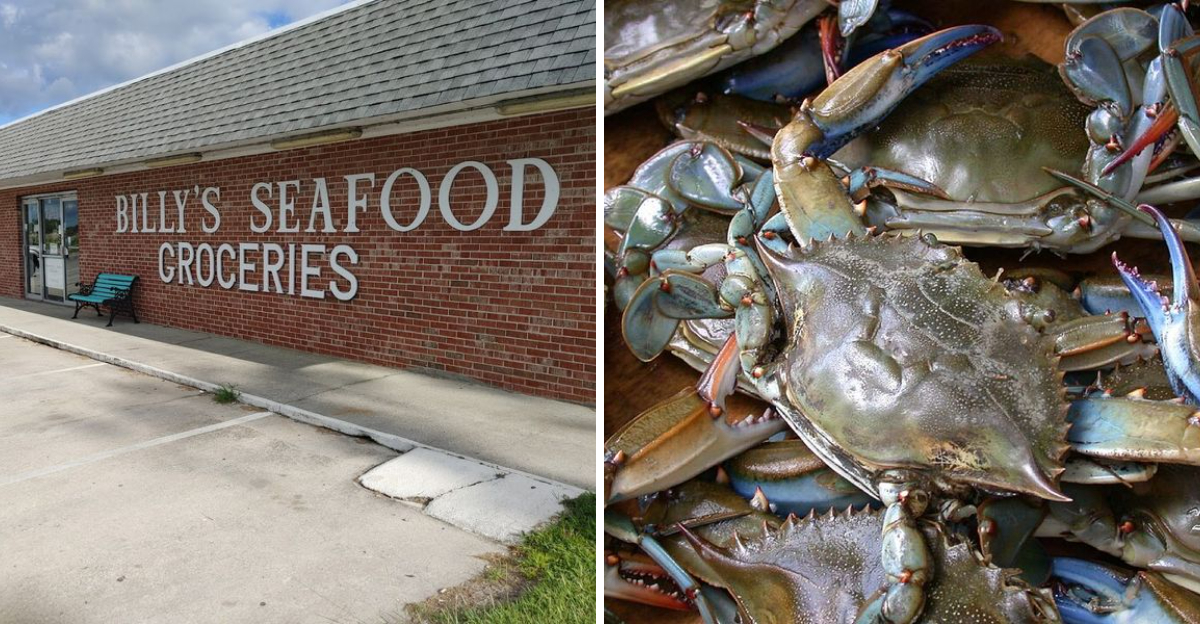 This North Carolina Seafood Market Sells Blue Crabs Worth Bringing Home - Decor Hint