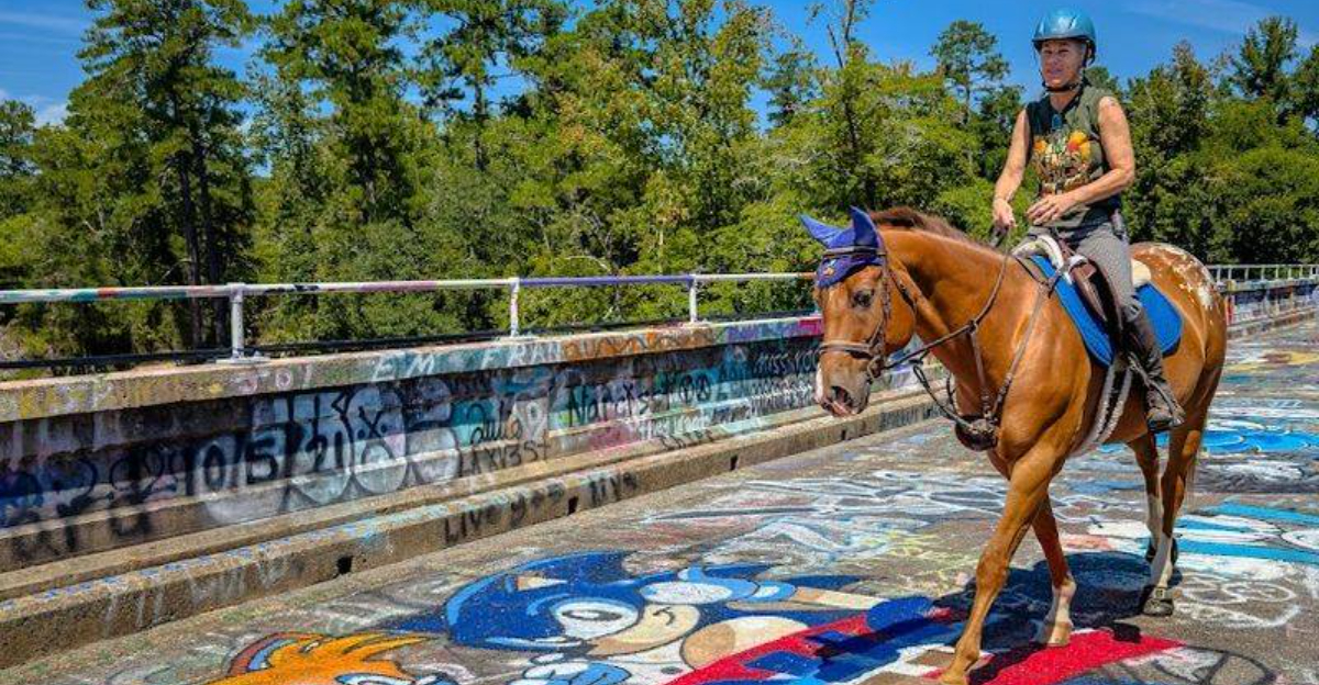 This North Carolina Spring Escape Comes With River Trails And A Painted Bridge - Decor Hint