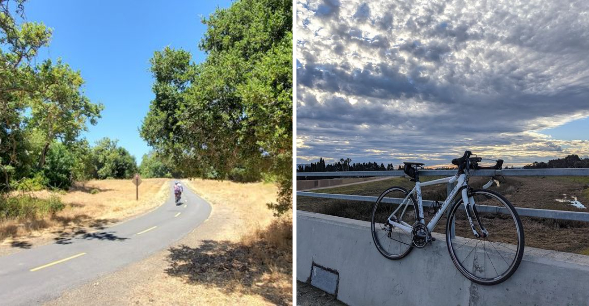 This Northern California Bike Trail Winds For 30 Miles Along A Quiet Creek Through Scenic Parks 1 - Decor Hint