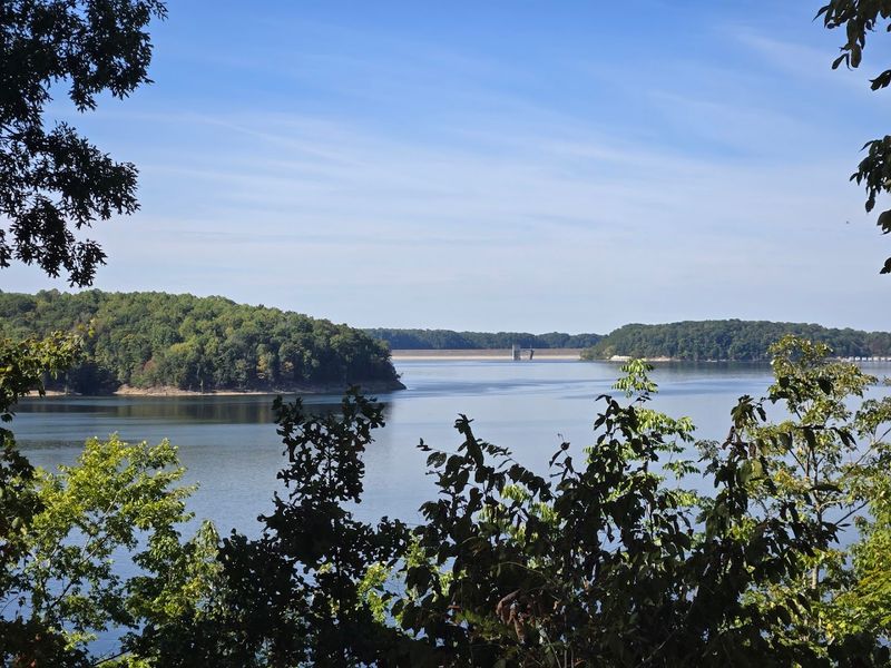 Peaceful Lakeside Scenery