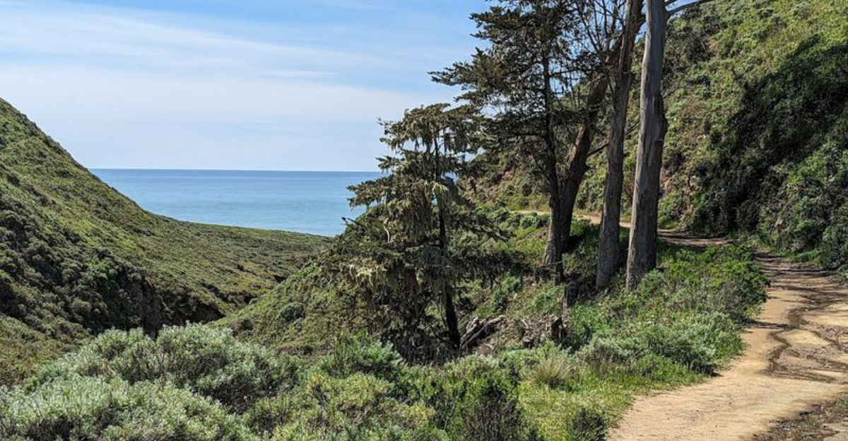 This Petite California State Park Feels Like A Peaceful Escape From Everyday Stress - Decor Hint