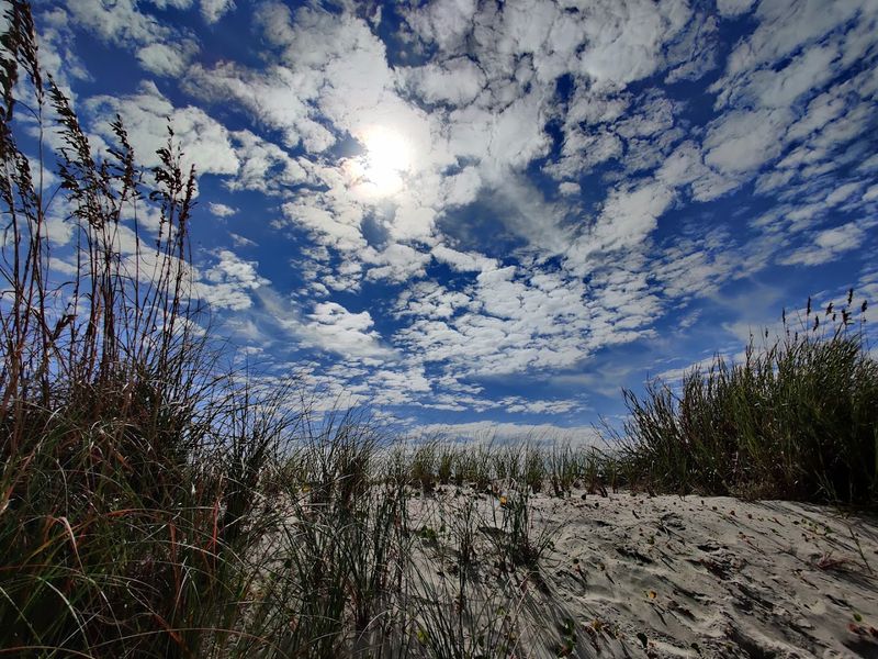 Secluded Shoreline Experience