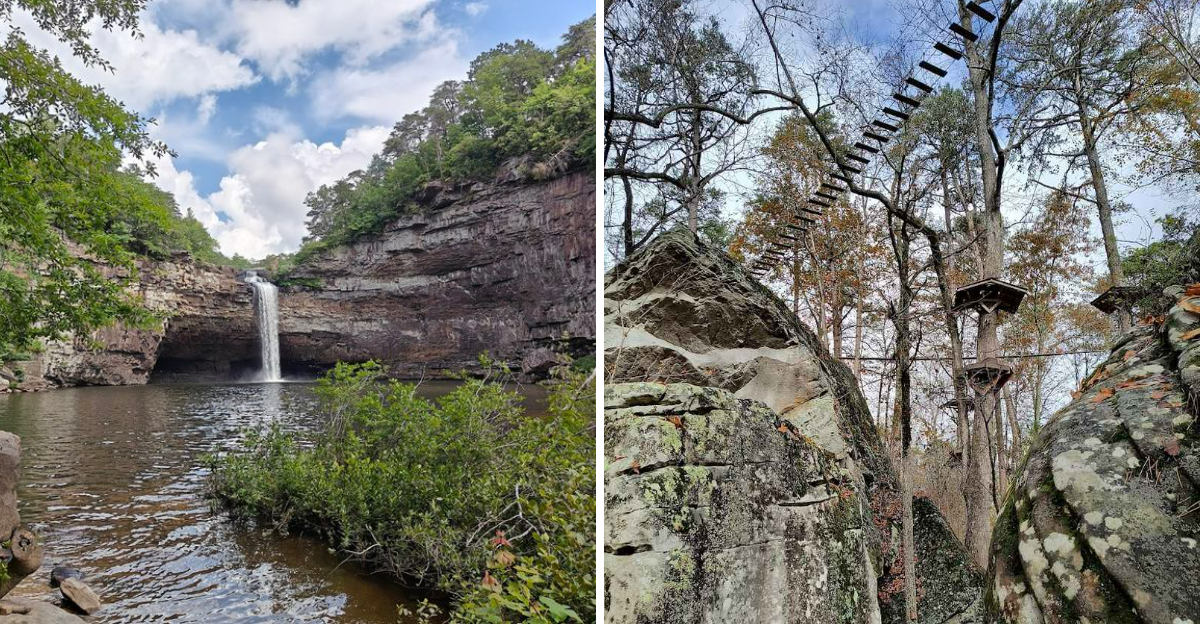 This Scenic Alabama Park Features A 104 Foot Waterfall That Feels Unreal - Decor Hint