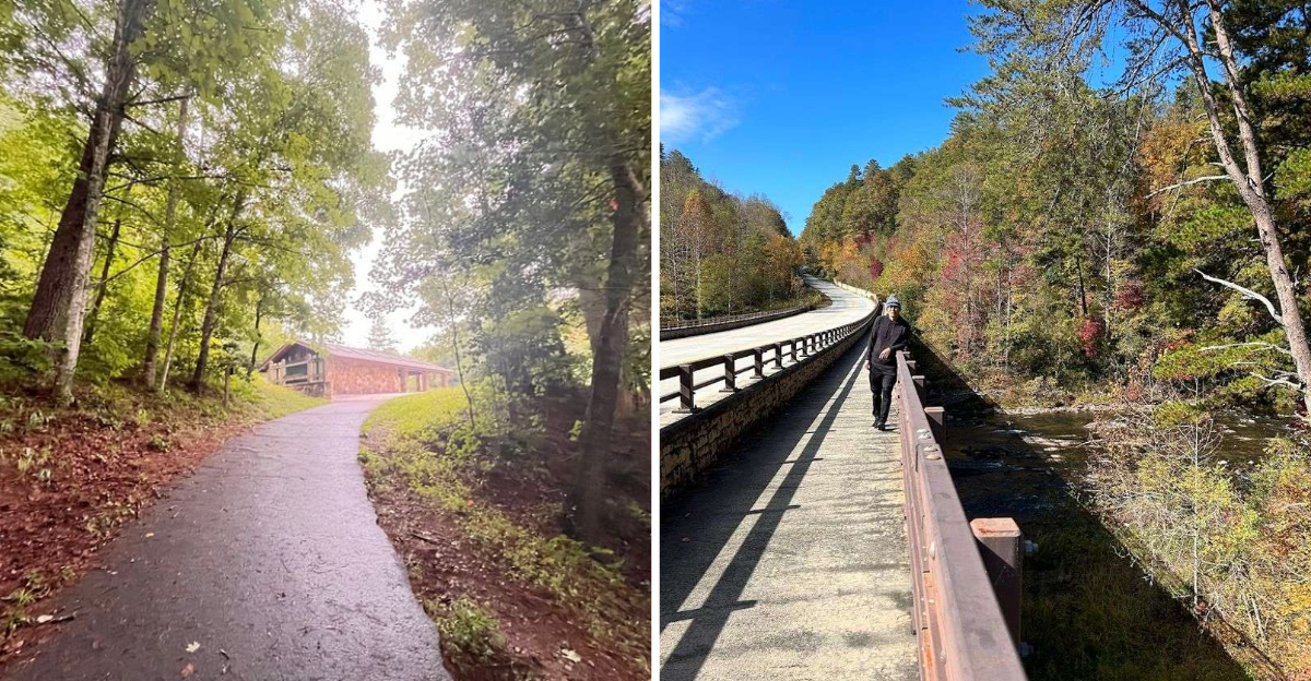 This Scenic Georgia Trail Leads To A Forgotten Homestead - Decor Hint