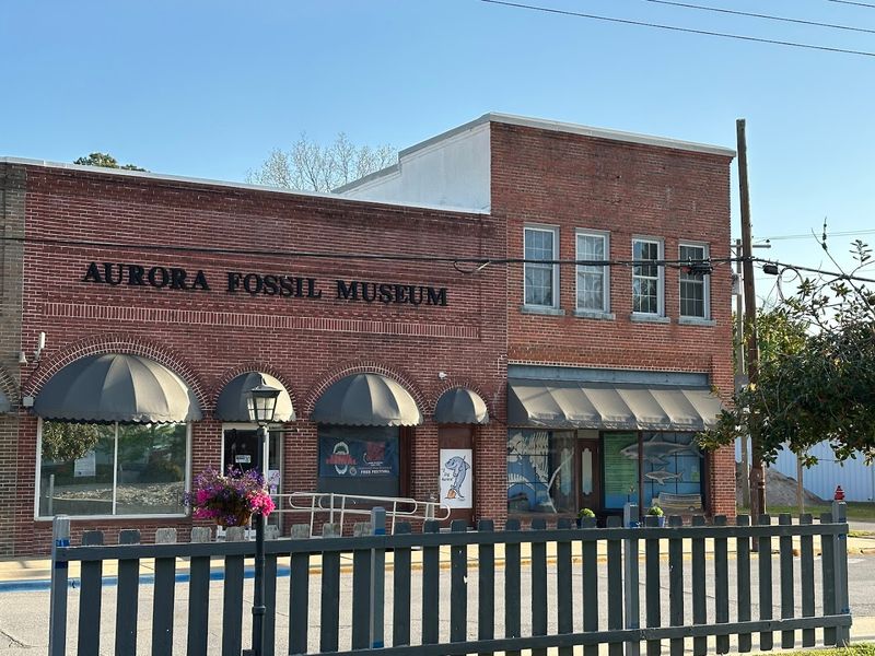 The Fossil Museum Experience