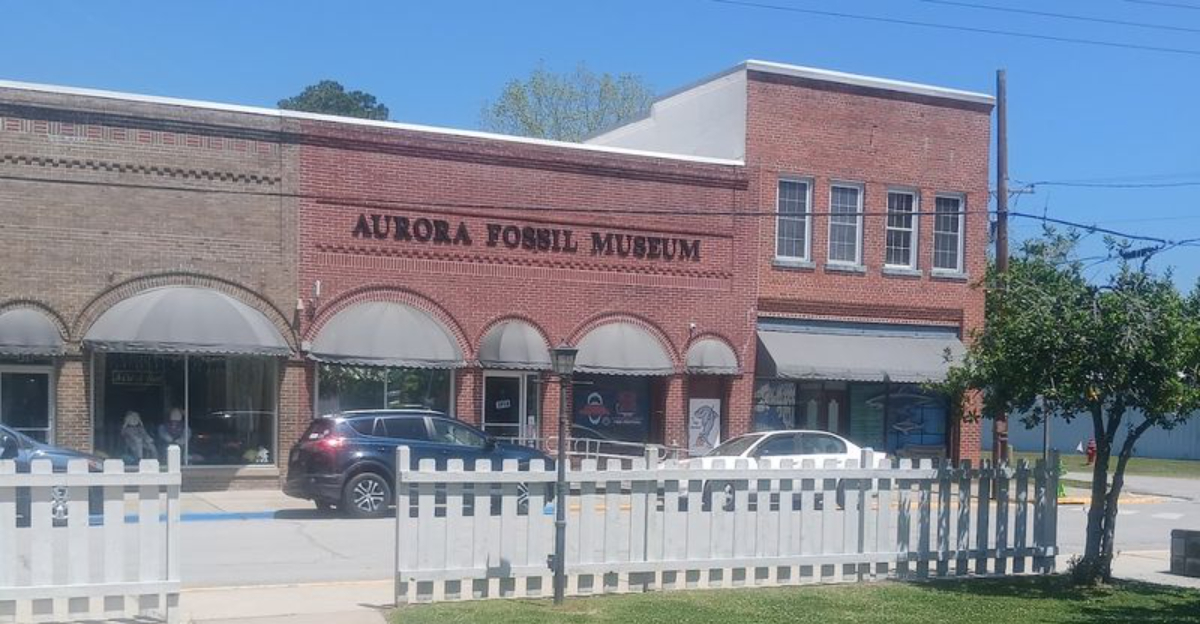 This Small North Carolina Place Lets You Hunt For Fossils And Shark Teeth - Decor Hint