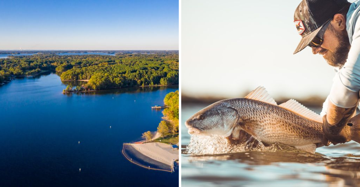 This Spring Fishing Charter In North Carolina Is All About Lake Norman Bass - Decor Hint