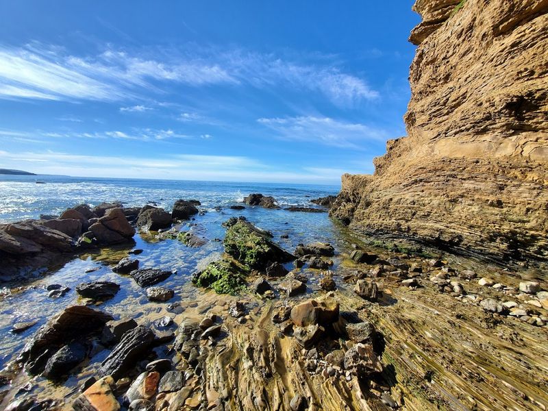 This Spring Is The Perfect Time To See Some Of The Most Beautiful California State Parks - Decor Hint Crystal Cove State Park