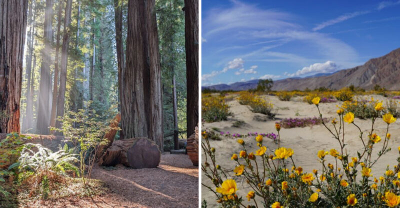 This Spring Is The Perfect Time To See Some Of The Most Beautiful California State Parks