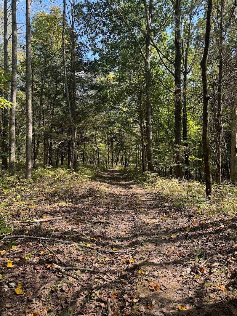 Scenic Trails