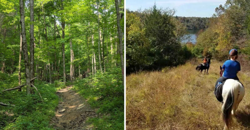 This Stunning State Park In Kentucky Will Melt All Your Stress And Worries Away