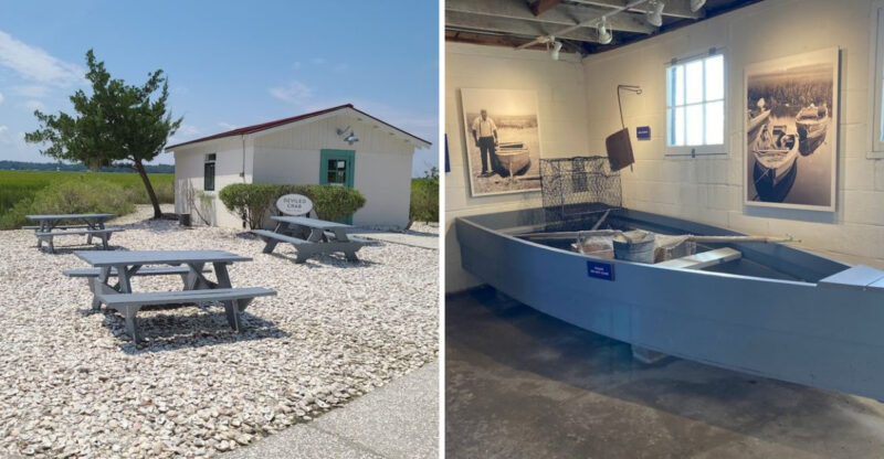 This Tucked-Away Living History Museum In Georgia Is A Must-Visit For History Lovers