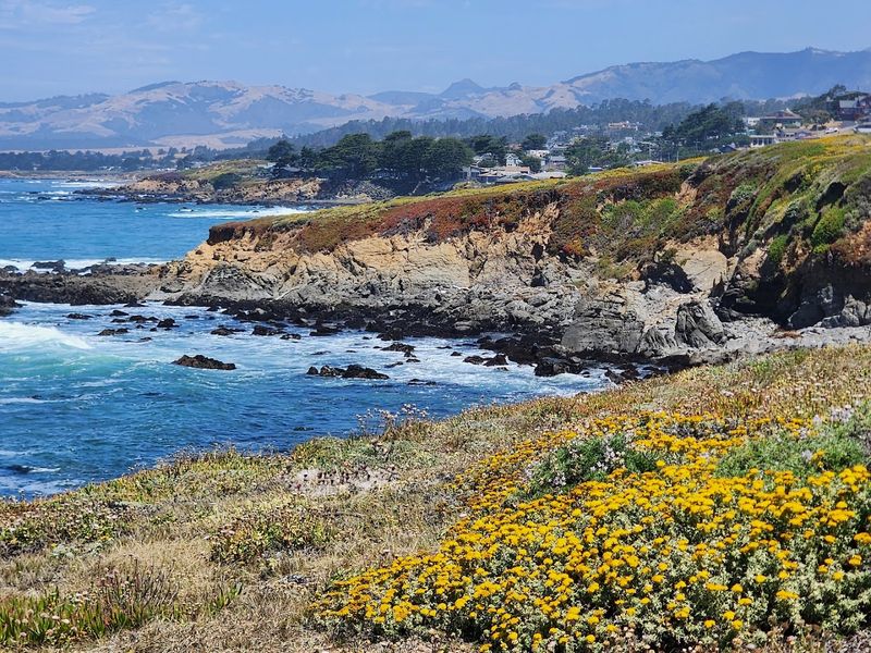 Fiscalini Ranch Preserve Covers About 430 Acres