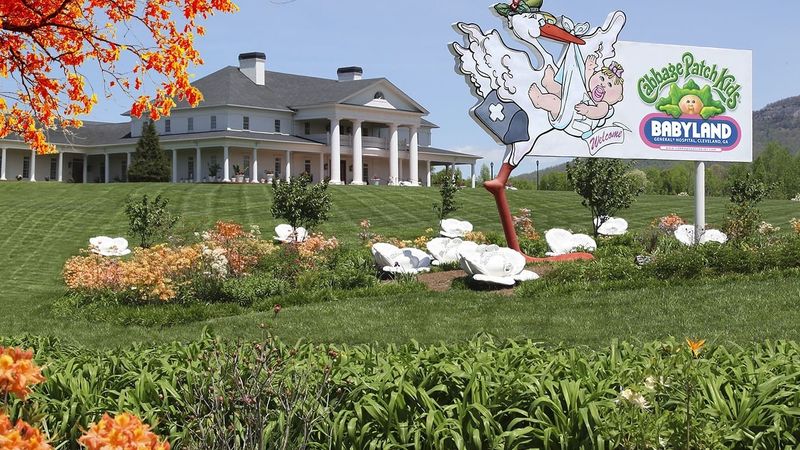 Witness the Magic Crystal Tree Birth Ceremony