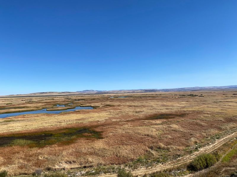 Alvord Desert 