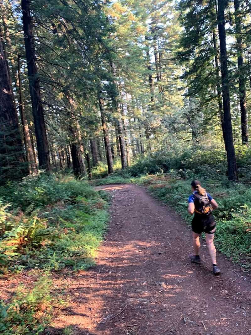 Bolinas Ridge Trail, Point Reyes National Seashore