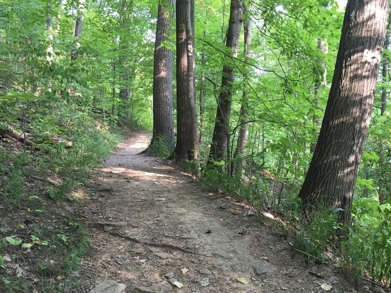 Core Arboretum