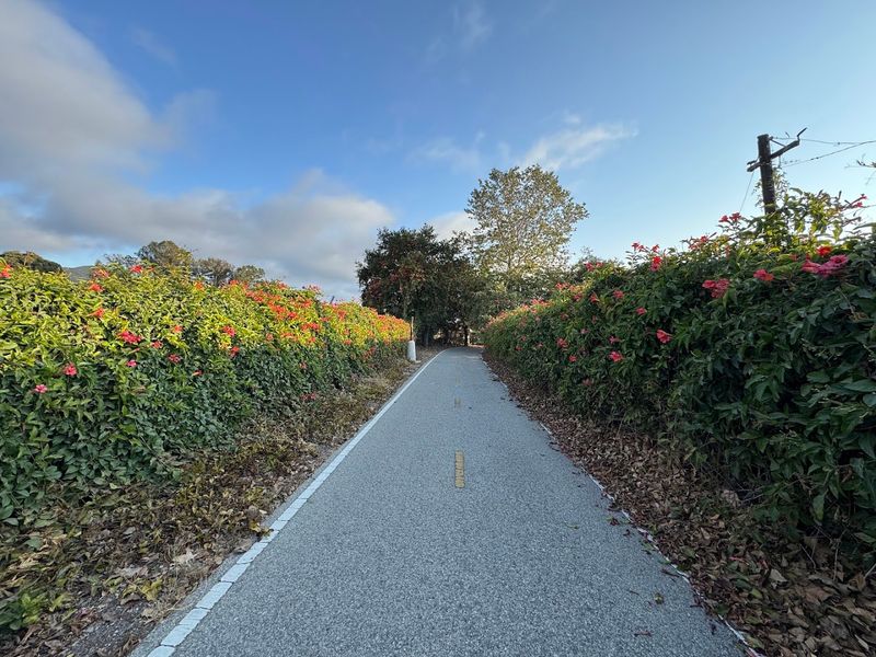 The 2024 Trail Improvement Project That Upgraded Key Sections