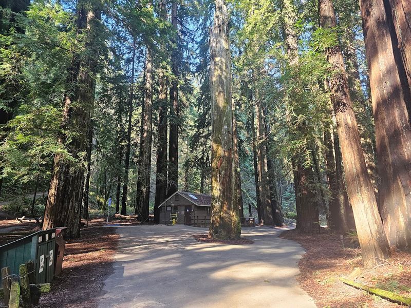 The Discovery Trail Is Wheelchair Accessible with Braille Interpretive Panels