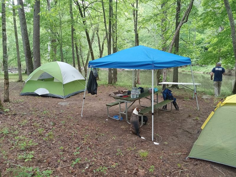 Camping Inside The Bowl Feels Like A Different World