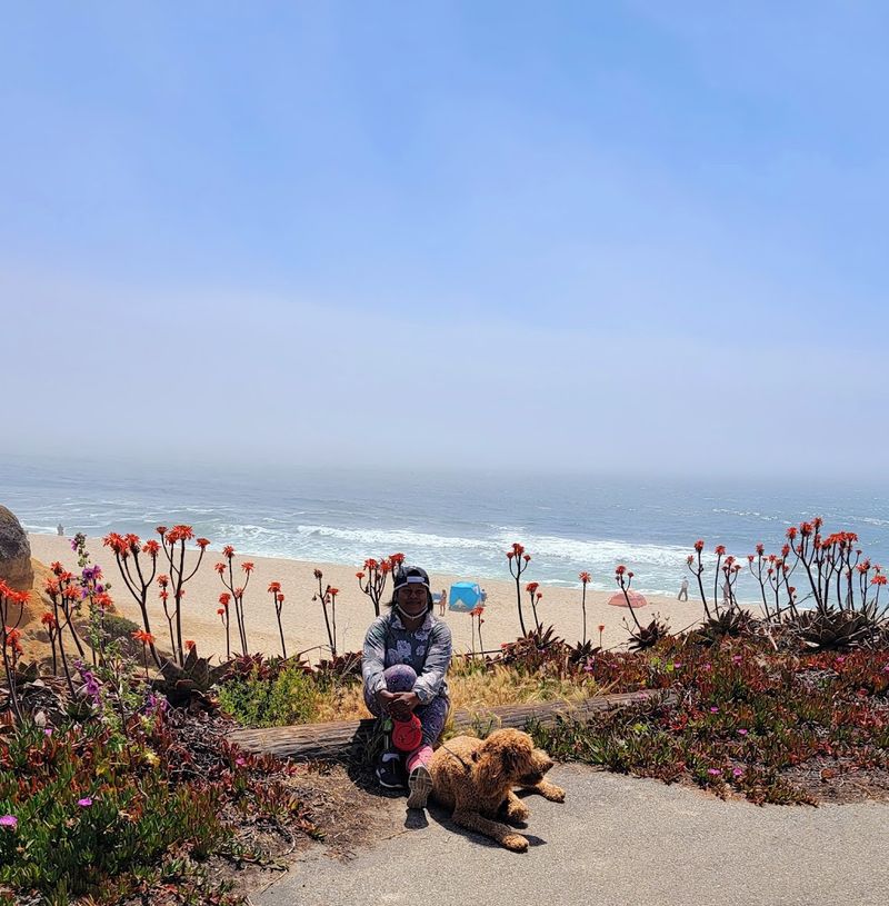 Coastside Trail — Half Moon Bay State Beach