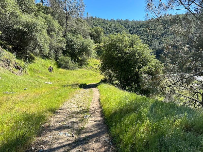 Trails at Auburn State Recreation Area