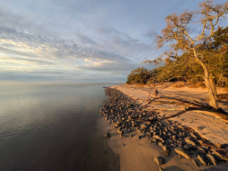 St. Andrews Beach, Cumberland Island