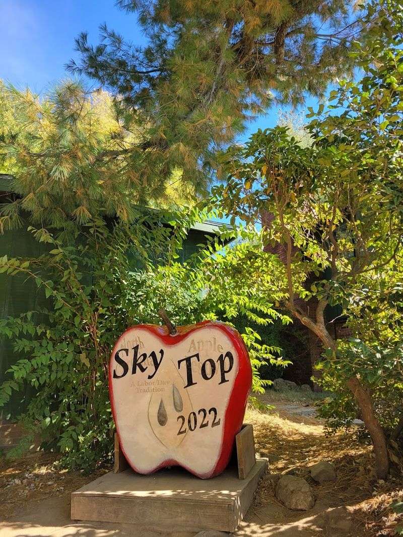 Apple Cider: The Heart Of The Visit