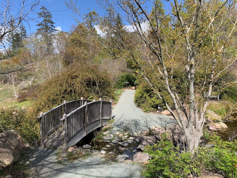 Sonoma Botanical Garden, Glen Ellen