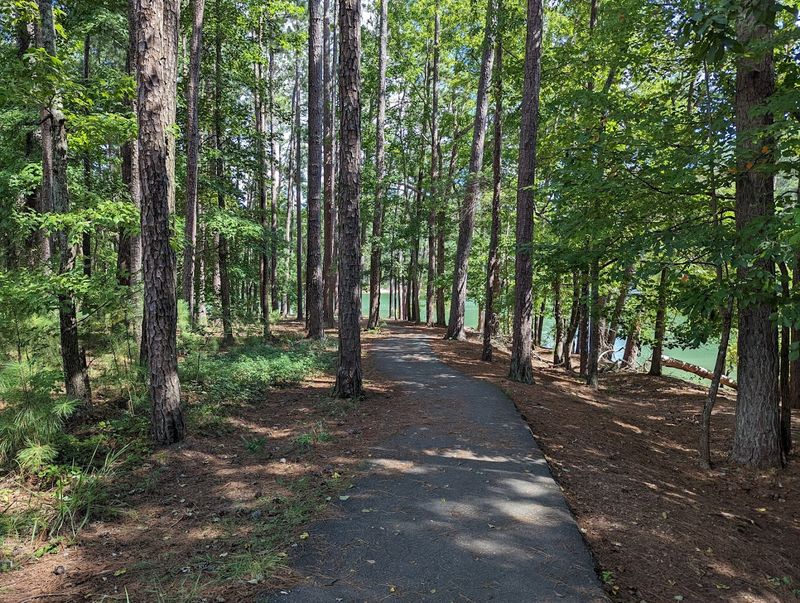 Red Top Mountain State Park