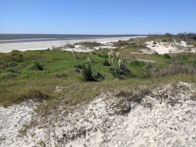 An Unspoiled Environment That Feels Genuinely Rare